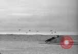 Standbild USA Nautilus Arktis, 1931, aus Sekunde 60 historischem Filmmaterial Videoclip 65675042198