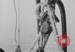 Image of United States Nautilus USS O-12 (SS-73) United States USA, 1931, second 37 stock footage video 65675042210