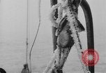 Image of United States Nautilus USS O-12 (SS-73) United States USA, 1931, second 38 stock footage video 65675042210