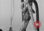 Image of United States Nautilus USS O-12 (SS-73) United States USA, 1931, second 40 stock footage video 65675042210