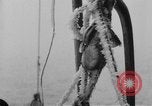 Image of United States Nautilus USS O-12 (SS-73) United States USA, 1931, second 42 stock footage video 65675042210