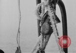 Image of United States Nautilus USS O-12 (SS-73) United States USA, 1931, second 43 stock footage video 65675042210