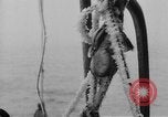Image of United States Nautilus USS O-12 (SS-73) United States USA, 1931, second 44 stock footage video 65675042210