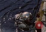 Standbild Deep Sea divers United States USA, 1943, aus Sekunde 33 historischem Filmmaterial Videoclip 65675042214