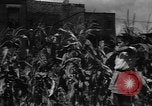 Standbild Sieg Gärten Chicago Illinois USA, 1943, aus Sekunde 42 historischem Filmmaterial Videoclip 65675042217