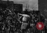 Standbild Sieg Gärten Chicago Illinois USA, 1943, aus Sekunde 43 historischem Filmmaterial Videoclip 65675042217