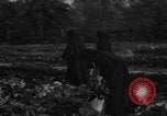 Standbild Sieg Gärten Chicago Illinois USA, 1943, aus Sekunde 45 historischem Filmmaterial Videoclip 65675042217