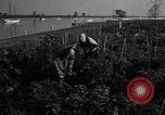 Standbild Sieg Gärten Chicago Illinois USA, 1943, aus Sekunde 56 historischem Filmmaterial Videoclip 65675042217