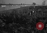 Standbild Sieg Gärten Chicago Illinois USA, 1943, aus Sekunde 60 historischem Filmmaterial Videoclip 65675042217