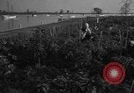 Standbild Sieg Gärten Chicago Illinois USA, 1943, aus Sekunde 61 historischem Filmmaterial Videoclip 65675042217