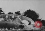 Image of diving competition Germany, 1962, second 7 stock footage video 65675042230