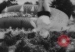 Image of diving competition Germany, 1962, second 15 stock footage video 65675042230