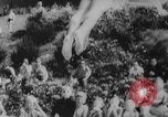 Image of diving competition Germany, 1962, second 18 stock footage video 65675042230