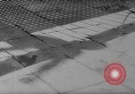 Image of diving competition Germany, 1962, second 21 stock footage video 65675042230