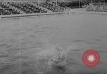 Image of diving competition Germany, 1962, second 28 stock footage video 65675042230