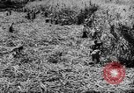 Standbild Dwight D Eisenhower Washington DC USA, 1960, aus Sekunde 29 historischem Filmmaterial Videoclip 65675042231