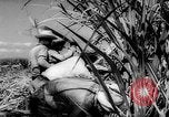 Standbild Dwight D Eisenhower Washington DC USA, 1960, aus Sekunde 31 historischem Filmmaterial Videoclip 65675042231