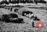Standbild Dwight D Eisenhower Washington DC USA, 1960, aus Sekunde 40 historischem Filmmaterial Videoclip 65675042231