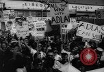 Image of Democratic convention 1960 candidates Los Angeles California USA, 1960, second 27 stock footage video 65675042238