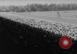 Image of Hollywood Derby Inglewood California USA, 1960, second 5 stock footage video 65675042243