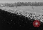 Image of Hollywood Derby Inglewood California USA, 1960, second 6 stock footage video 65675042243