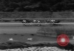 Image of Hollywood Derby Inglewood California USA, 1960, second 14 stock footage video 65675042243