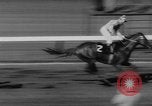 Image of Hollywood Derby Inglewood California USA, 1960, second 41 stock footage video 65675042243