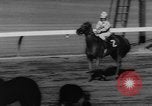 Image of Hollywood Derby Inglewood California USA, 1960, second 49 stock footage video 65675042243