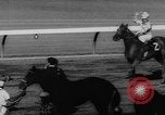 Image of Hollywood Derby Inglewood California USA, 1960, second 50 stock footage video 65675042243
