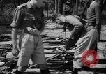 Standbild belgische Flüchtlinge Kongo, 1960, aus Sekunde 36 historischem Filmmaterial Videoclip 65675042251