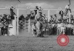 Immagine di Calgary Stampede Lo stato di Alberta in Canada, 1960, secondo 6 filmato di repertorio 65675042256