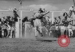 Immagine di Calgary Stampede Lo stato di Alberta in Canada, 1960, secondo 7 filmato di repertorio 65675042256