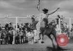 Immagine di Calgary Stampede Lo stato di Alberta in Canada, 1960, secondo 8 filmato di repertorio 65675042256