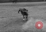 Immagine di Calgary Stampede Lo stato di Alberta in Canada, 1960, secondo 13 filmato di repertorio 65675042256
