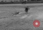 Immagine di Calgary Stampede Lo stato di Alberta in Canada, 1960, secondo 14 filmato di repertorio 65675042256
