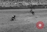 Immagine di Calgary Stampede Lo stato di Alberta in Canada, 1960, secondo 15 filmato di repertorio 65675042256