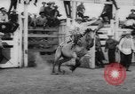 Immagine di Calgary Stampede Lo stato di Alberta in Canada, 1960, secondo 17 filmato di repertorio 65675042256