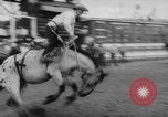 Immagine di Calgary Stampede Lo stato di Alberta in Canada, 1960, secondo 18 filmato di repertorio 65675042256