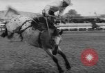 Immagine di Calgary Stampede Lo stato di Alberta in Canada, 1960, secondo 19 filmato di repertorio 65675042256
