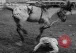 Immagine di Calgary Stampede Lo stato di Alberta in Canada, 1960, secondo 20 filmato di repertorio 65675042256