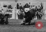 Immagine di Calgary Stampede Lo stato di Alberta in Canada, 1960, secondo 26 filmato di repertorio 65675042256