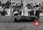 Immagine di Calgary Stampede Lo stato di Alberta in Canada, 1960, secondo 29 filmato di repertorio 65675042256