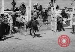 Immagine di Calgary Stampede Lo stato di Alberta in Canada, 1960, secondo 33 filmato di repertorio 65675042256