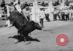Immagine di Calgary Stampede Lo stato di Alberta in Canada, 1960, secondo 34 filmato di repertorio 65675042256