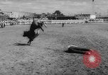 Immagine di Calgary Stampede Lo stato di Alberta in Canada, 1960, secondo 37 filmato di repertorio 65675042256