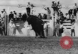 Immagine di Calgary Stampede Lo stato di Alberta in Canada, 1960, secondo 38 filmato di repertorio 65675042256