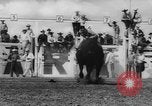 Immagine di Calgary Stampede Lo stato di Alberta in Canada, 1960, secondo 39 filmato di repertorio 65675042256