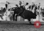 Immagine di Calgary Stampede Lo stato di Alberta in Canada, 1960, secondo 40 filmato di repertorio 65675042256