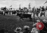 Immagine di Calgary Stampede Lo stato di Alberta in Canada, 1960, secondo 49 filmato di repertorio 65675042256