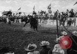 Immagine di Calgary Stampede Lo stato di Alberta in Canada, 1960, secondo 50 filmato di repertorio 65675042256